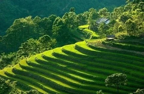 Sự Bùng Nổ Của Video Ngắn và Trí Tuệ Nhân Tạo: Vai Trò Thiết Yếu Của Đào Tạo Kỹ Năng Sáng Tạo Nội Dung_video kể về tín hiệu
