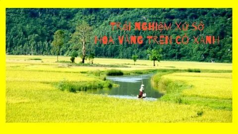 Cách Khởi Nghiệp Kiếm Tiền Bán Thời Gian Dành Cho Người Mới_Phần mềm biên tập video chuyên nghiệp