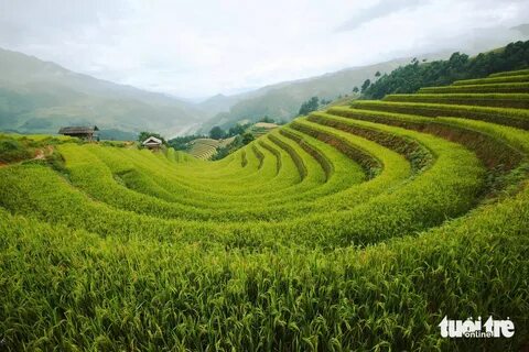 Sự Bùng Nổ Của Video Ngắn và Trí Tuệ Nhân Tạo: Vai Trò Thiết Yếu Của Đào Tạo Kỹ Năng Sáng Tạo Nội Dung_Hotspot Matrix là gì