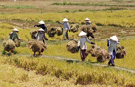 Sự Bùng Nổ Của Video Ngắn và Trí Tuệ Nhân Tạo: Vai Trò Thiết Yếu Của Đào Tạo Kỹ Năng Sáng Tạo Nội Dung_ý tưởng sáng tạo video ngắn