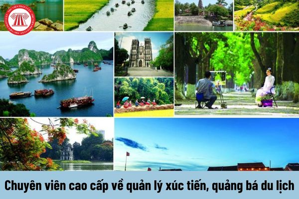 Cách Khởi Nghiệp Kiếm Tiền Bán Thời Gian Dành Cho Người Mới_Khóa học digital marketing trực tuyến
