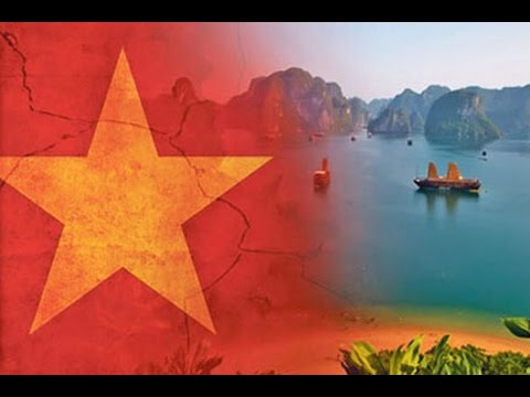 Sự Bùng Nổ Của Video Ngắn và Trí Tuệ Nhân Tạo: Vai Trò Thiết Yếu Của Đào Tạo Kỹ Năng Sáng Tạo Nội Dung_Khóa học digital marketing trực tuyến