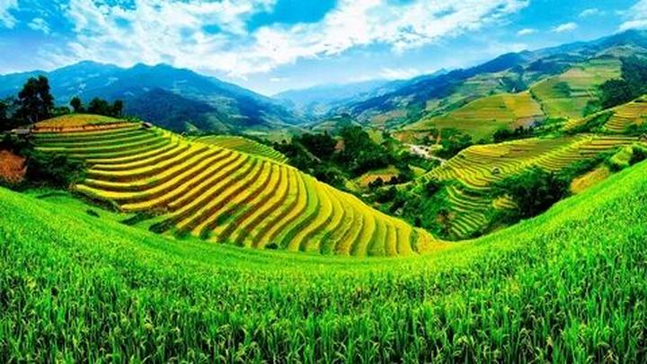 Sự Bùng Nổ Của Video Ngắn và Trí Tuệ Nhân Tạo: Vai Trò Thiết Yếu Của Đào Tạo Kỹ Năng Sáng Tạo Nội Dung
